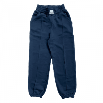 Спортивні штани Breeze джогери Темно-синій